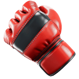MMA Betting icon